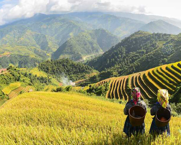 Ninh Bình - Sapa